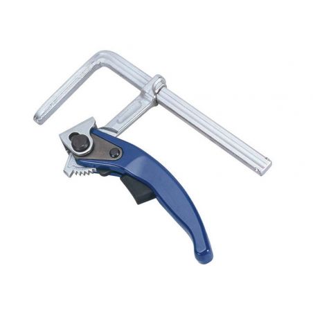 Páková svěrka - AGP