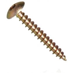 Vrut se širokou půlkulatou hlavou, torx 30, ocel c1022, zinek bílý, 7.0x50 mm