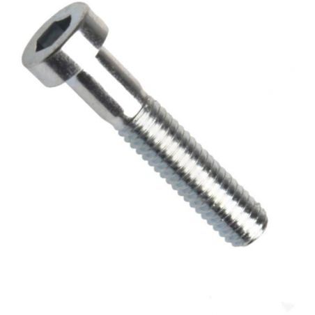 Din 7984, šroub s nízkou válcovou hlavou, vnitřní šestihran inb, ocel, pevnostní třída 8.8, bez povrchové úpravy, m12x20 mm