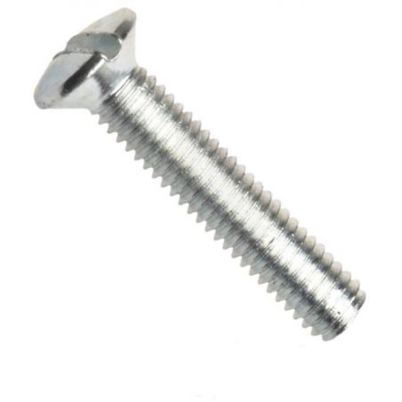 Din 964a, šroub s čočkovou hlavou a rovnou drážkou, ocel 4.8, zinek bílý, m6x25 mm