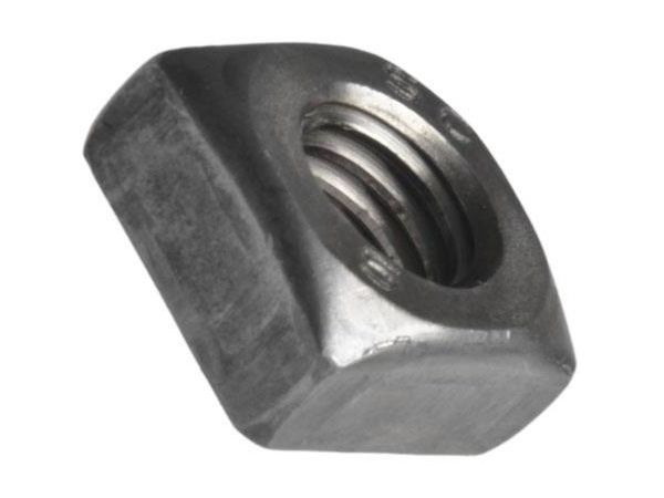 D557 bp mat 4hr  m10