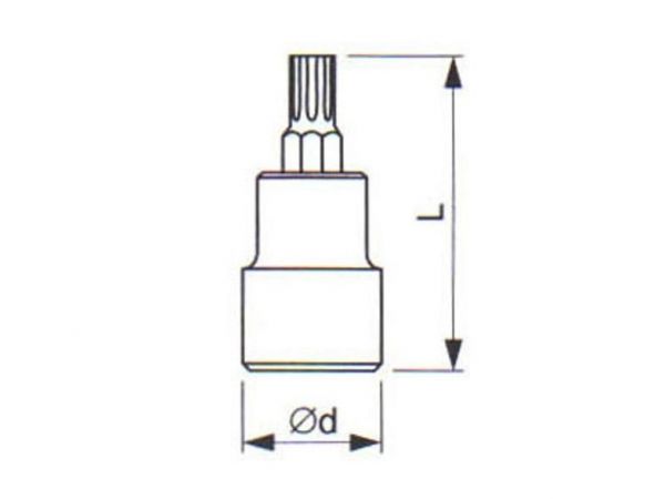 Hlavice zástrčná se čtyřhranem (1/2") TORX - TONA EXPERT