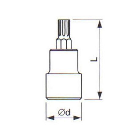 Hlavice zástrčná se čtyřhranem (1/2") TORX - TONA EXPERT